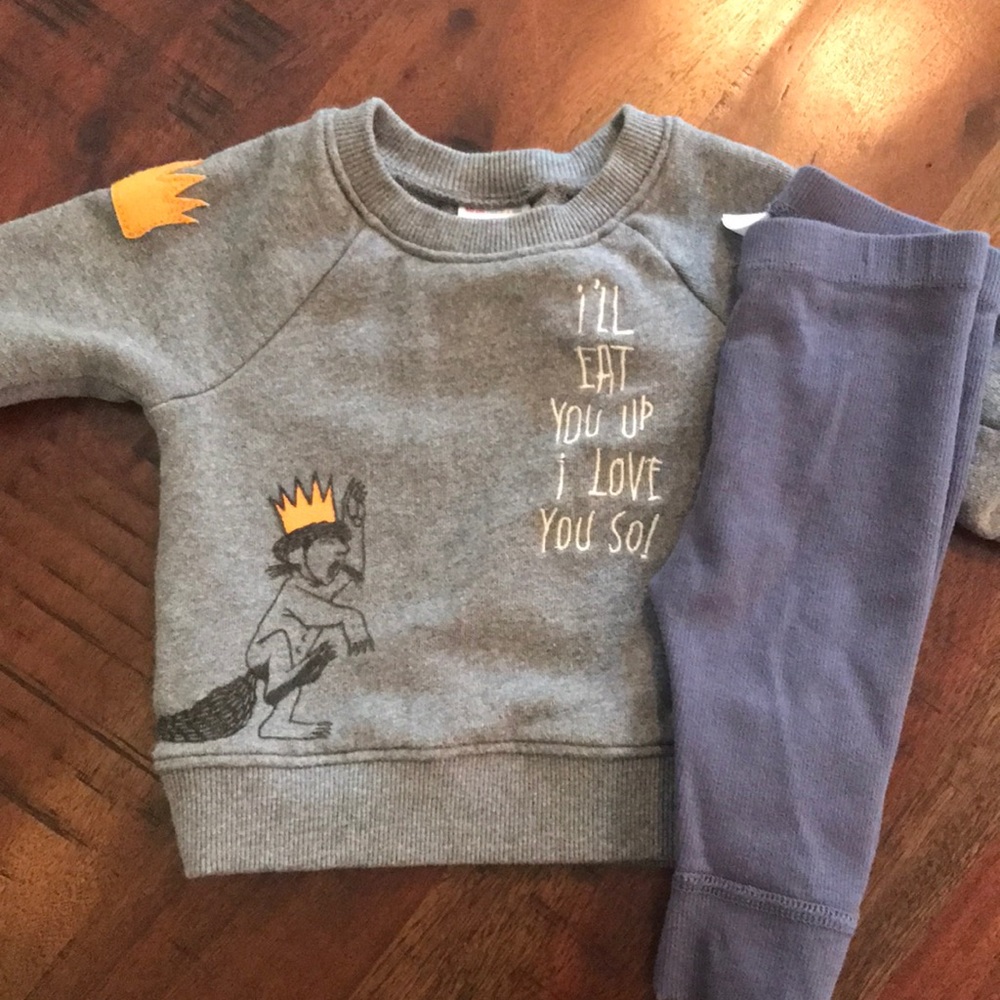 Hanna Andersson Sweatshirt and Leggings Duo